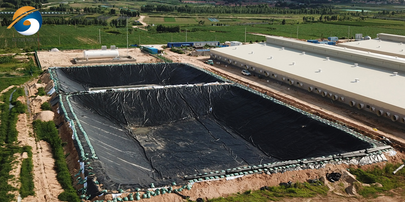 Revestimento de charcas de 0,75 mm de geomembrana de PEAD para aquacultura Revestimento de charcas de 0,75 mm de geomembrana de PEAD para aquacultura