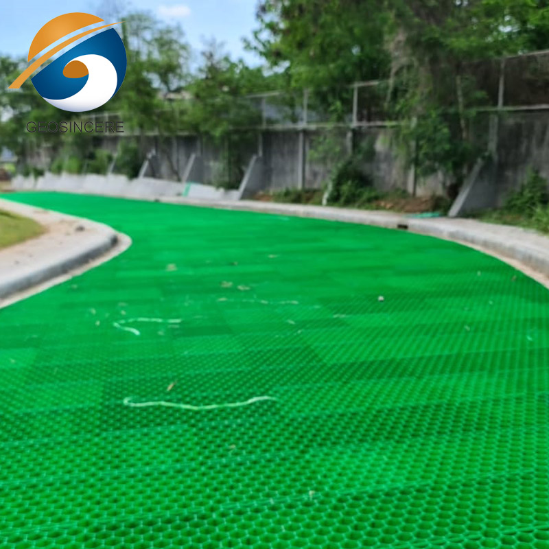 Drivable Grass Paver Driveway With Grass