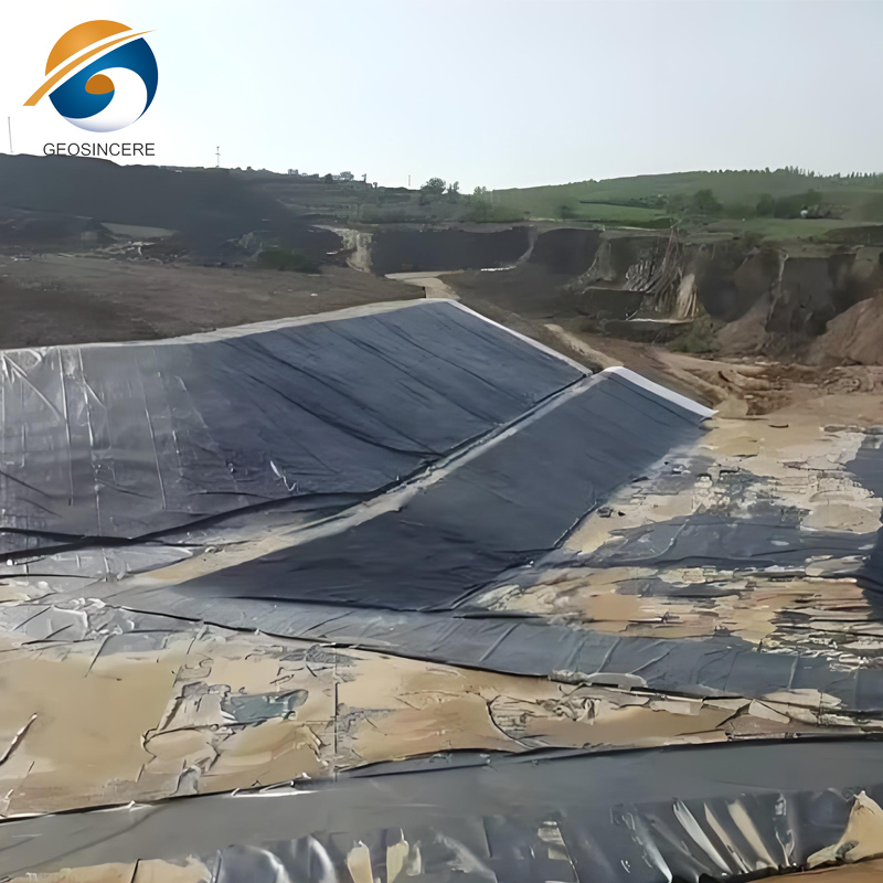60 мил HDPE Geomembrane