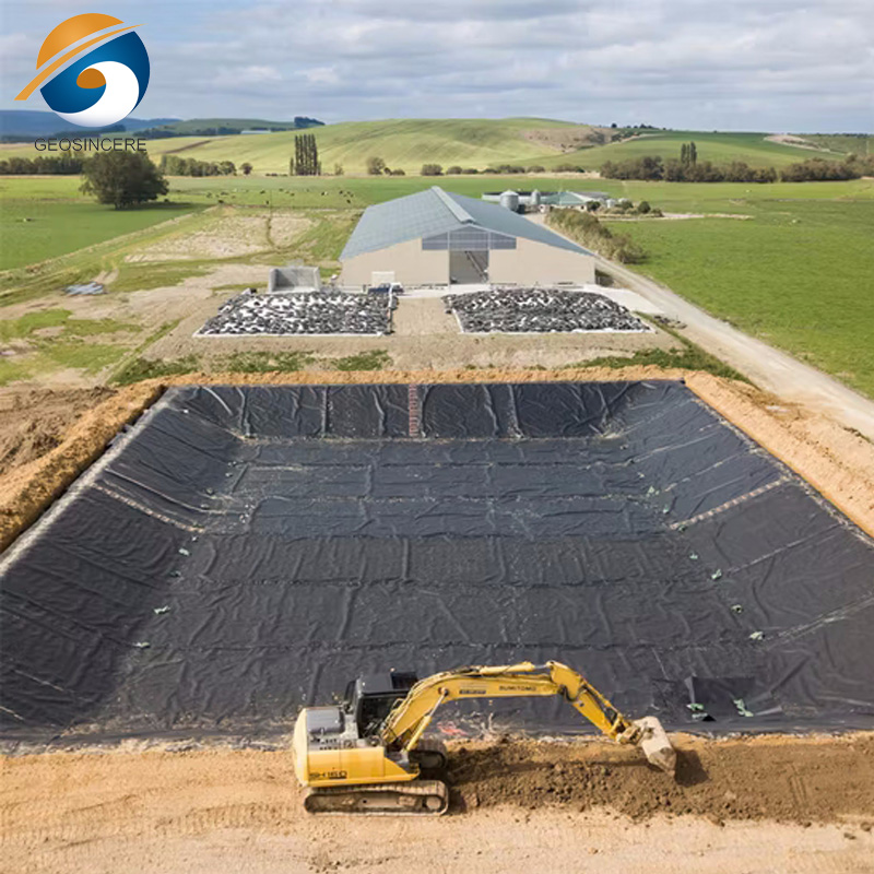 เมมเบรนทางภูมิศาสตร์