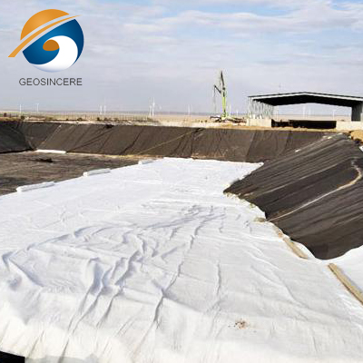 Géotextile de drainage sous gravier pour aménagement paysager