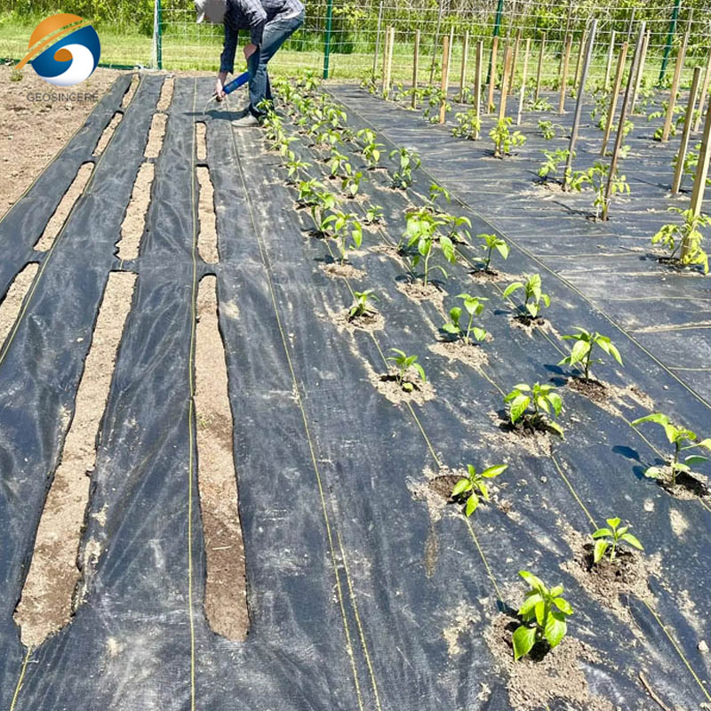 Geotextil tejido de PP para la estabilización de subrasantes y el control de la erosión
