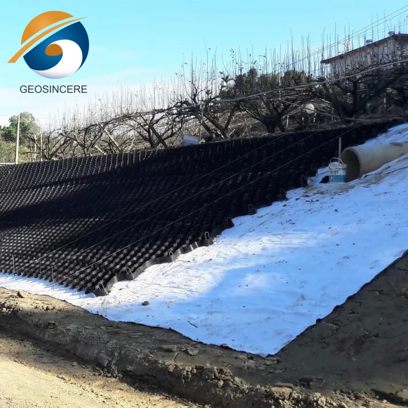 Géotextile géosynthétique de renforcement des sols pour les pentes