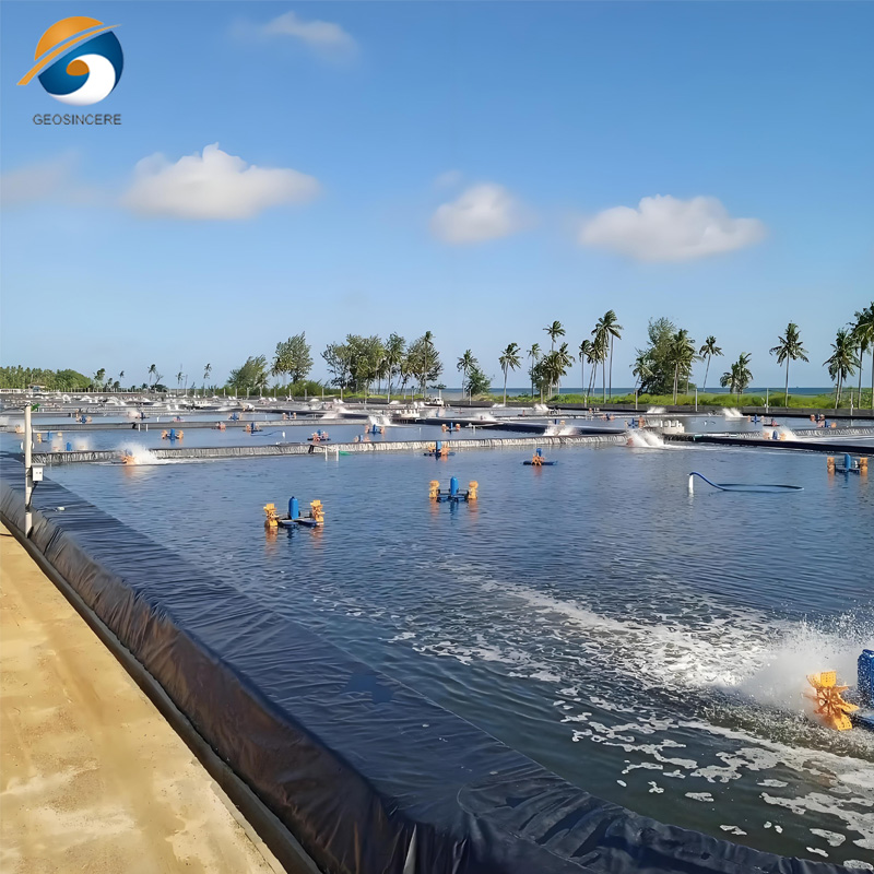 Revestimento de lagoas de peixes em PEAD para projetos de aquacultura