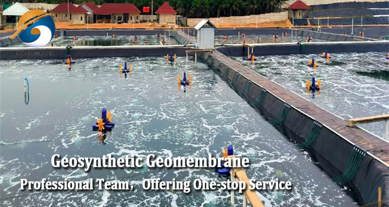 Лист геомембраны HDPE для аквакультуры на заказ Лист геомембраны HDPE для аквакультуры на заказ