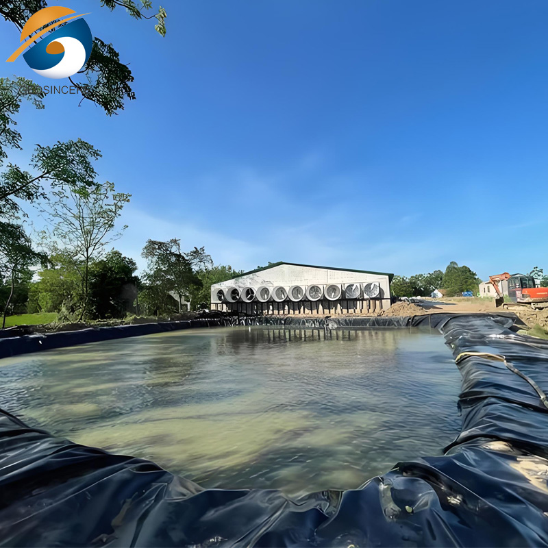 HDPE Геомембранная цена