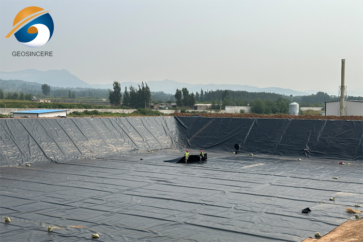 Стоимость гидроизоляции мембранной мембраны HDPE толщиной 20 мил Стоимость гидроизоляции мембранной мембраны HDPE толщиной 20 мил