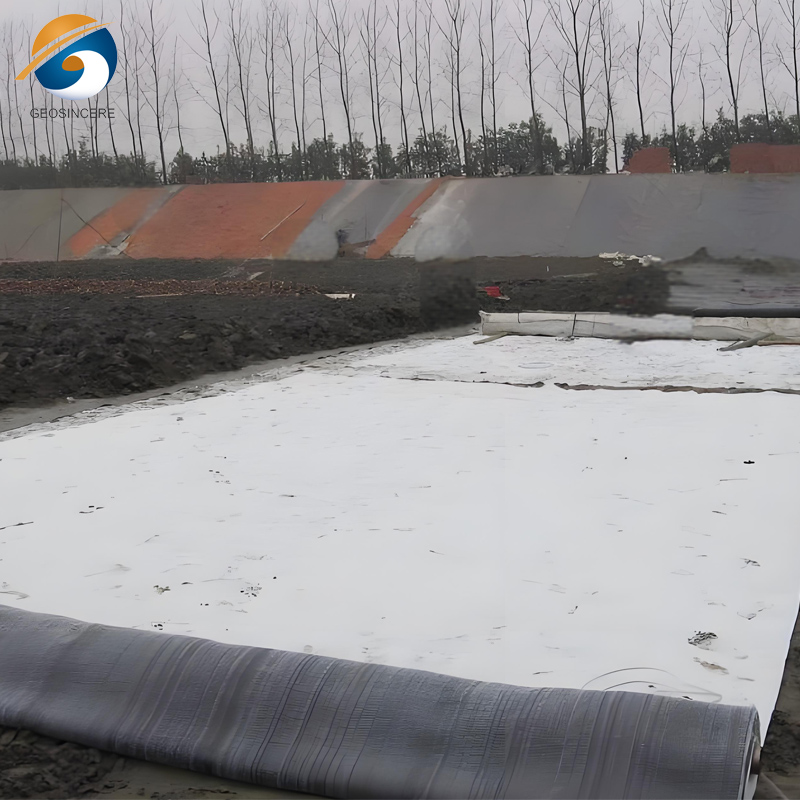 แผ่นดิน