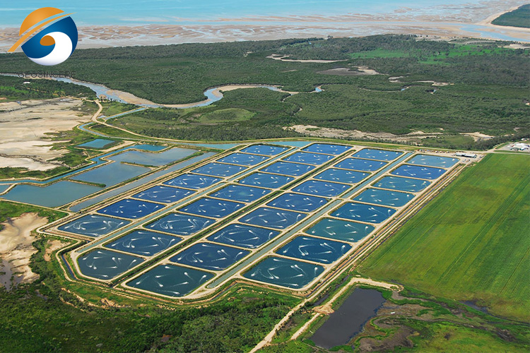 Геомембрана HDPE для аквакультуры Геомембрана HDPE для аквакультуры