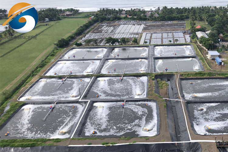 Revestimiento impermeable de geomembrana de HDPE de 1,5 mm Revestimiento impermeable de geomembrana de HDPE de 1,5 mm