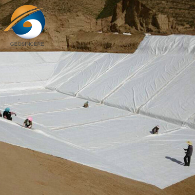 Vlies-Geotextil-Drainagegewebe für Auffahrten