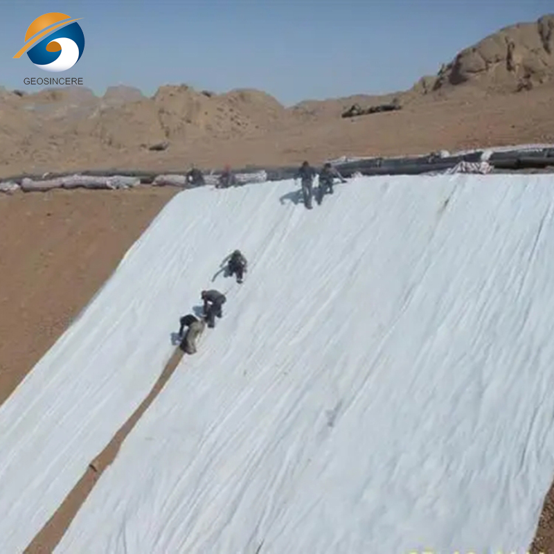 高強度ジオテキスタイル安定化布補強材