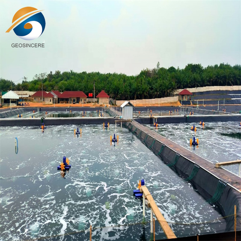 Revestimento de charcas de 0,75 mm de geomembrana de PEAD para aquacultura