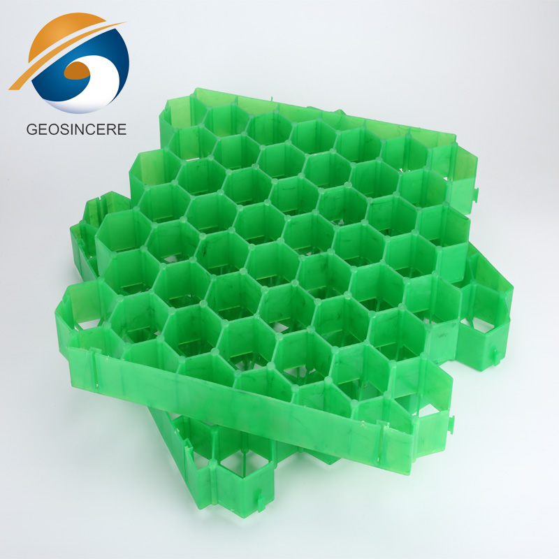 Проезжая часть с покрытием из газона с травой Проезжая часть с покрытием из газона с травой