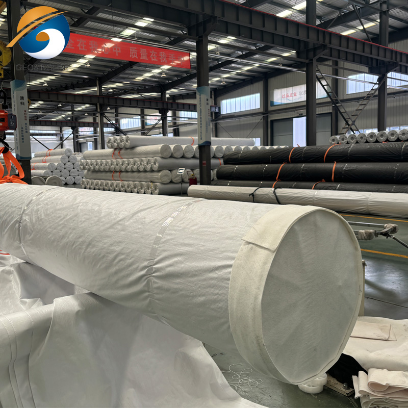 เมมเบรนทางภูมิศาสตร์