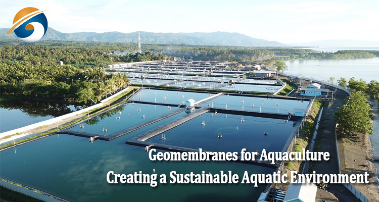 ومن خلال استخدام هذا الغشاء الأرضي عالي الجودة، يتوقع مشروع تربية الأحياء المائية فوائد متعددة. أولاً، يساهم في الحفاظ على الموارد المائية بكفاءة عن طريق تقليل فقدان المياه من خلال التسرب، وبالتالي تقليل الطلب الإجمالي على المياه للعملية. بالإضافة إلى ذلك، تمنع نفاذية الغشاء الأرضي إطلاق المواد الضارة في البيئة، مما يضمن الحفاظ على النظم البيئية المحيطة. إن اعتماد غشاء أرضي متطور كأفضل بطانة بركة لمشروع تربية الأحياء المائية قد أظهر تفاني الصناعة في استخدام المواد المتقدمة التي تعطي الأولوية للكفاءة والمتانة والاستدامة البيئية. ومن خلال استخدام هذا الغشاء الأرضي عالي الجودة، يتوقع مشروع تربية الأحياء المائية فوائد متعددة. أولاً، يساهم في الحفاظ على الموارد المائية بكفاءة عن طريق تقليل فقدان المياه من خلال التسرب، وبالتالي تقليل الطلب الإجمالي على المياه للعملية. بالإضافة إلى ذلك، تمنع نفاذية الغشاء الأرضي إطلاق المواد الضارة في البيئة، مما يضمن الحفاظ على النظم البيئية المحيطة. إن اعتماد غشاء أرضي متطور كأفضل بطانة بركة لمشروع تربية الأحياء المائية قد أظهر تفاني الصناعة في استخدام المواد المتقدمة التي تعطي الأولوية للكفاءة والمتانة والاستدامة البيئية.