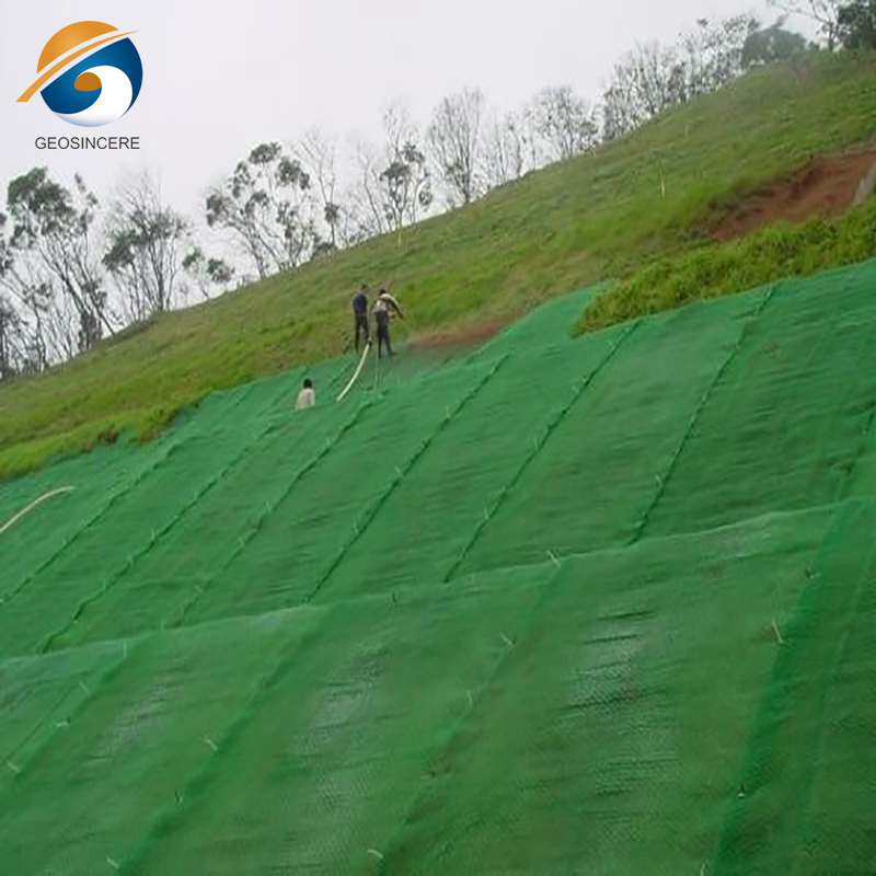HDPE Geosynthetics 3d Geomat для гравийных подъездных дорог