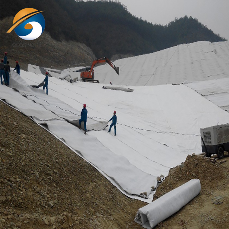 Geossintéticos Geonet Compostos de Drenagem de 10 mm de Espessura