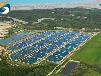 hdpe vs ldpe geomembrane for pond liner