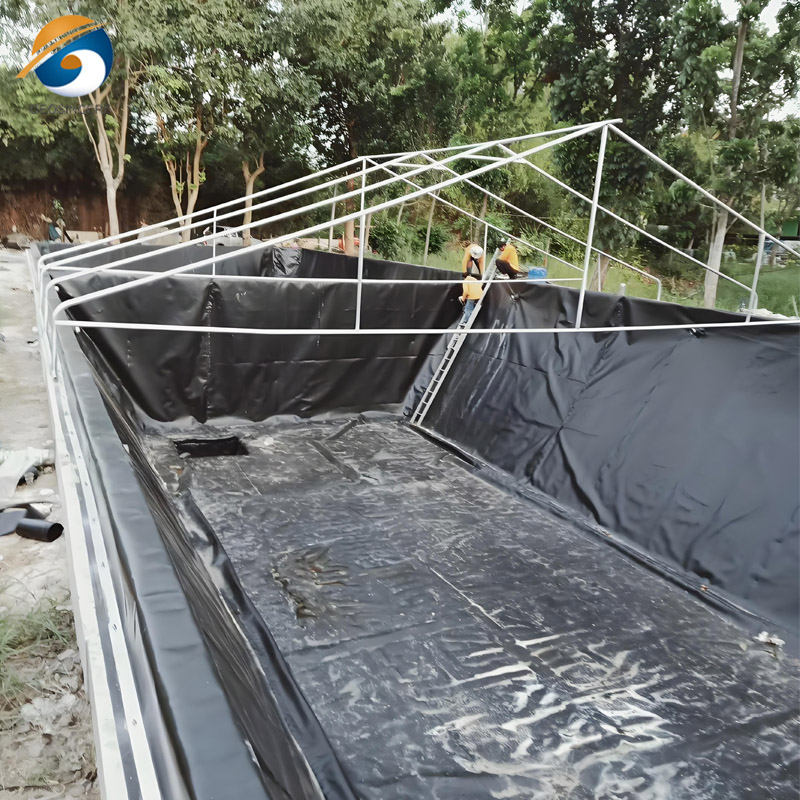 Revestimentos de charcos para aplicações em piscicultura