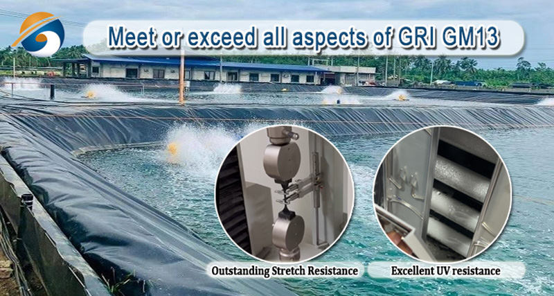 การเพาะเลี้ยงสัตว์น้ำ LDPE วัสดุซับบ่อปลา Geomembrane การเพาะเลี้ยงสัตว์น้ำ LDPE วัสดุซับบ่อปลา Geomembrane