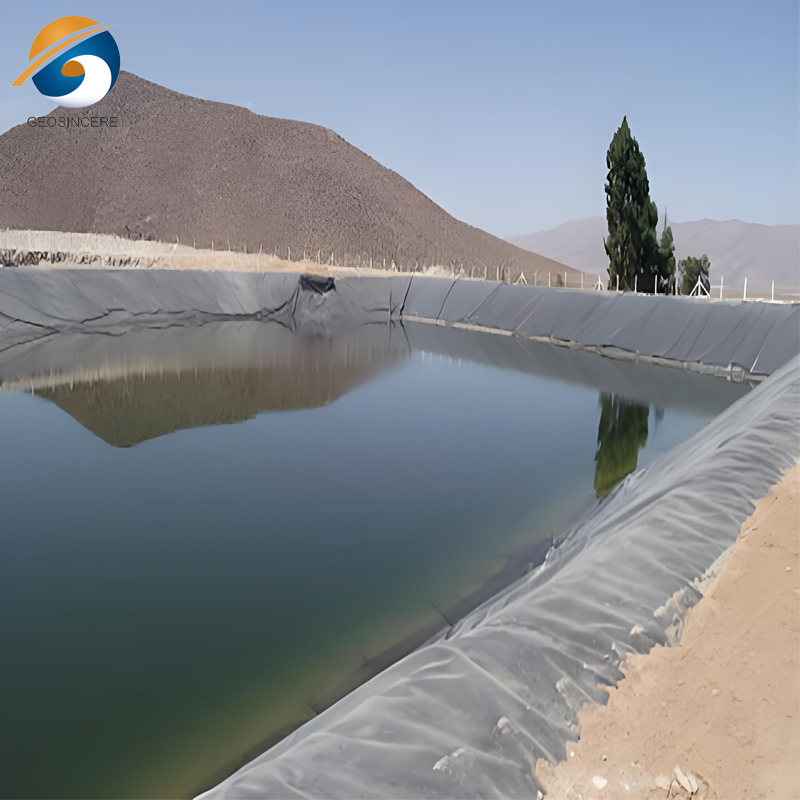 埋め立て地の地球膜