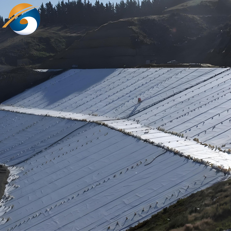 ราคาเมมเบรน Geotextile