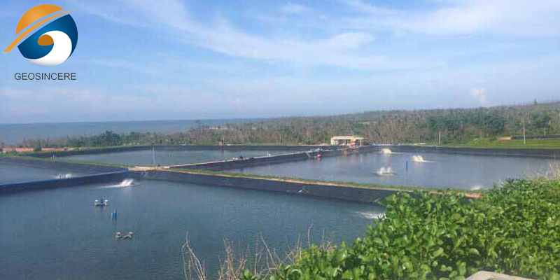 Геомембранный материал для пруда для аквакультуры Геомембранный материал для пруда для аквакультуры