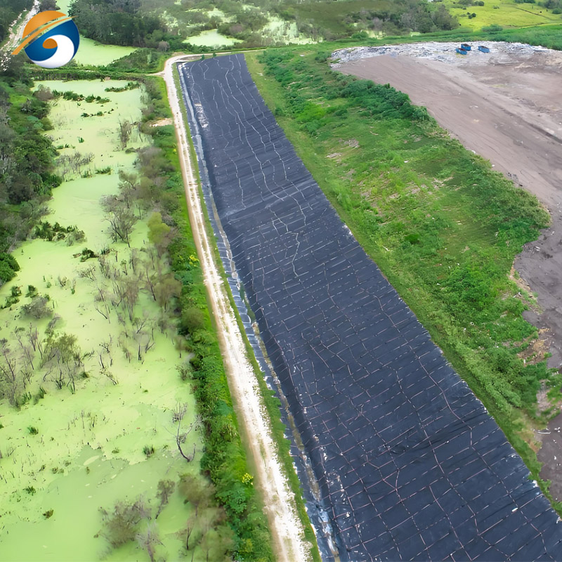 GEOSINCERE แผ่นใยสังเคราะห์ HDPE แบบเรียบ