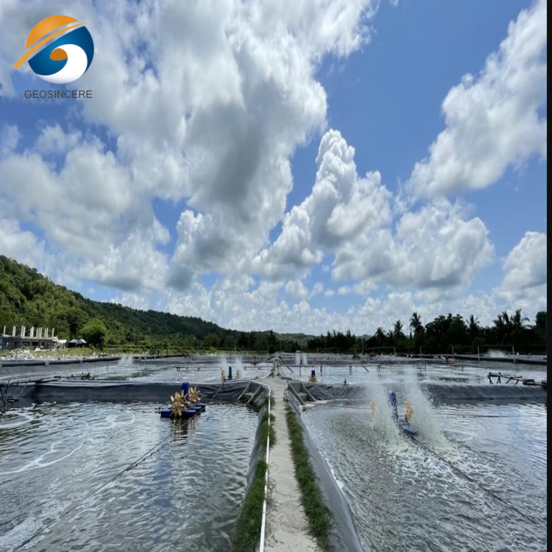 ซับในบ่อพลาสติก HDPE สำเร็จรูปสำหรับปลาที่ปลอดภัย