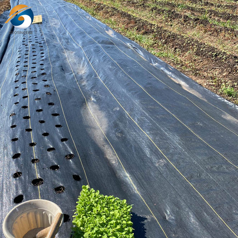 Geotextil tejido de polipropileno para sistemas de drenaje y filtración