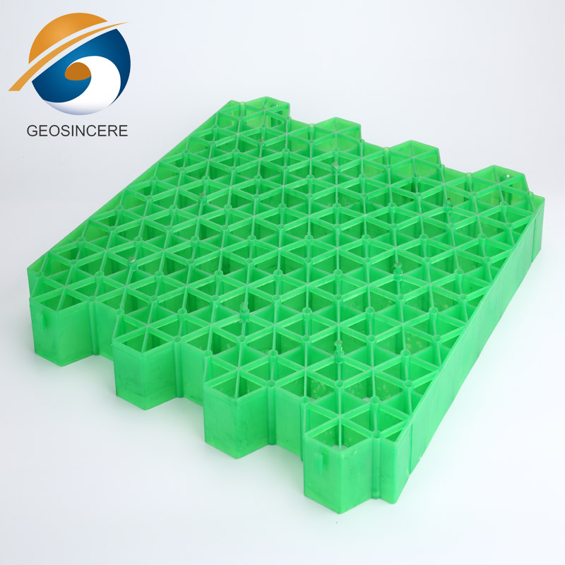 Проезжая часть с покрытием из газона с травой Проезжая часть с покрытием из газона с травой