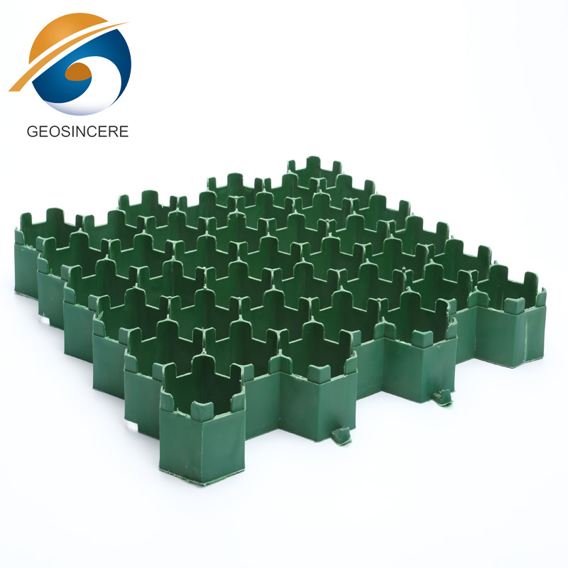 Проезжая часть с покрытием из газона с травой Проезжая часть с покрытием из газона с травой