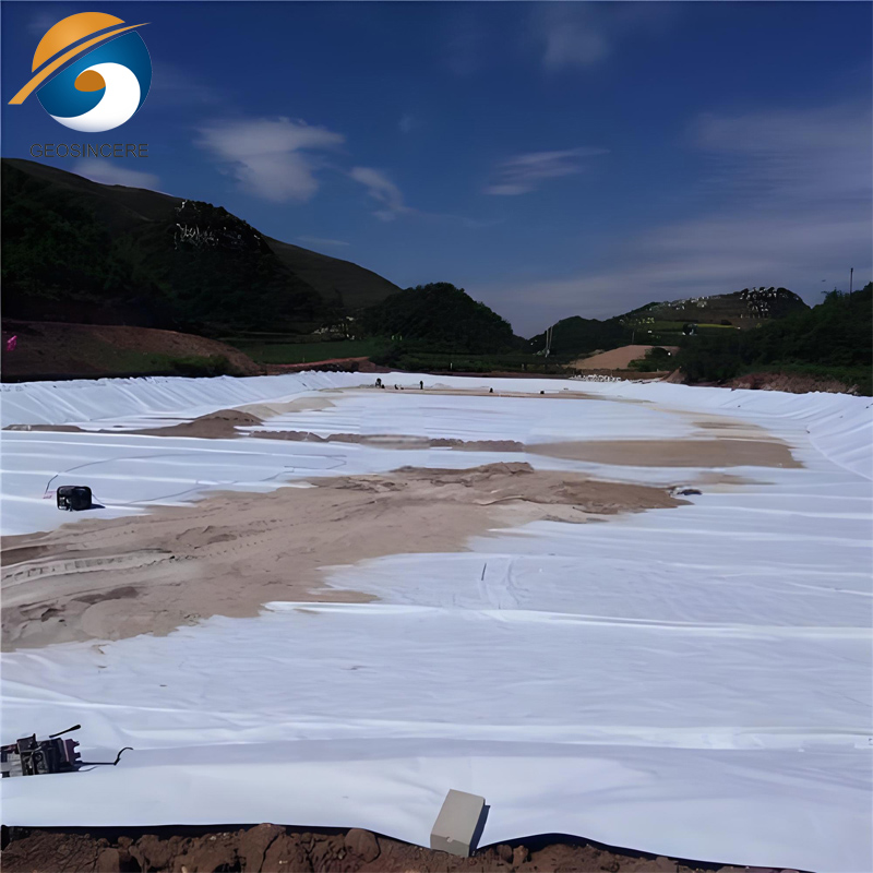 ราคาเมมเบรน Geotextile