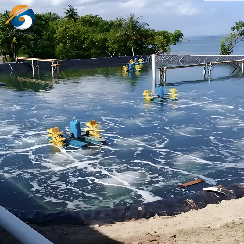 Revestimento para Lagoa de Piscicultura para Produção Sustentável de Peixe