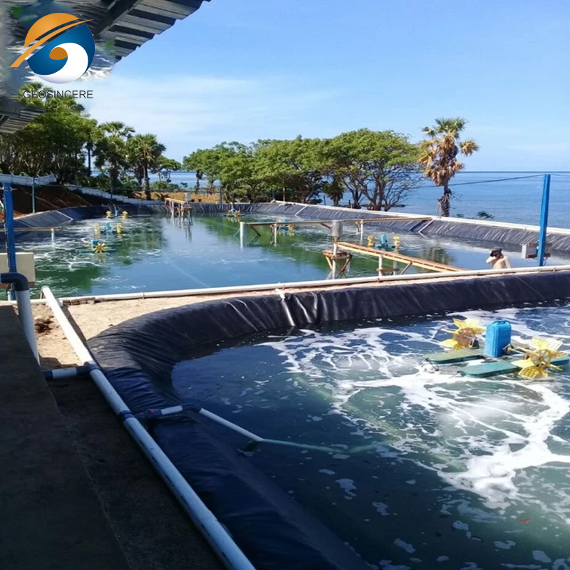 Gri GM13 500 Micron HDPE Geomembrane Fish Pond Liner