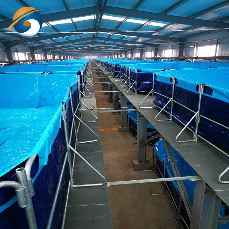 Полиэтиленовый лист HDPE, резиновая облицовка резервуара для пруда с рыбой