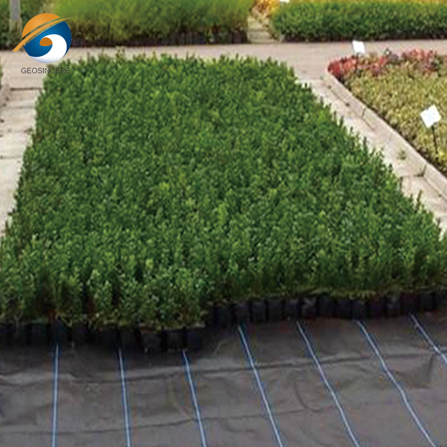 ПП тканая геотекстильная ткань для дорог