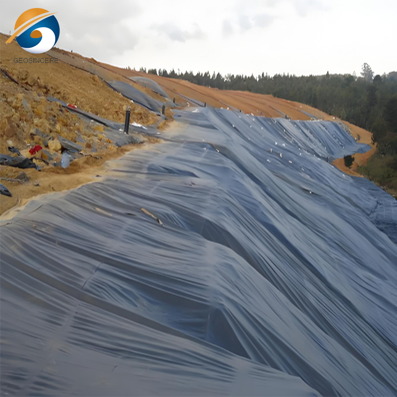 埋め立て地の地球膜