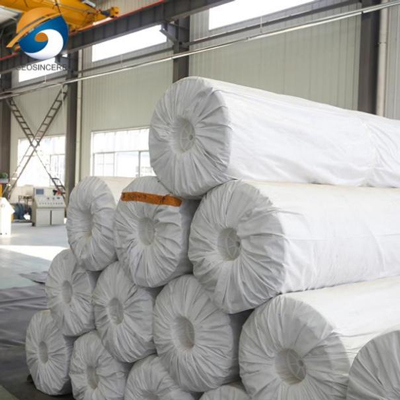 Verstärkte wasserdichte HDPE-Geomembran Verstärkte wasserdichte HDPE-Geomembran