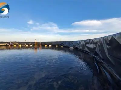 Spesifikasi Lapisan HDPE untuk Kolam Budidaya Udang