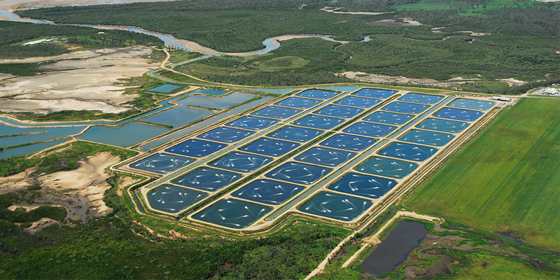 Как построить пруд для аквакультуры с геомембранным покрытием? Как построить пруд для аквакультуры с геомембранным покрытием?