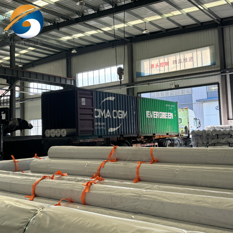 埋め立て地の地球膜