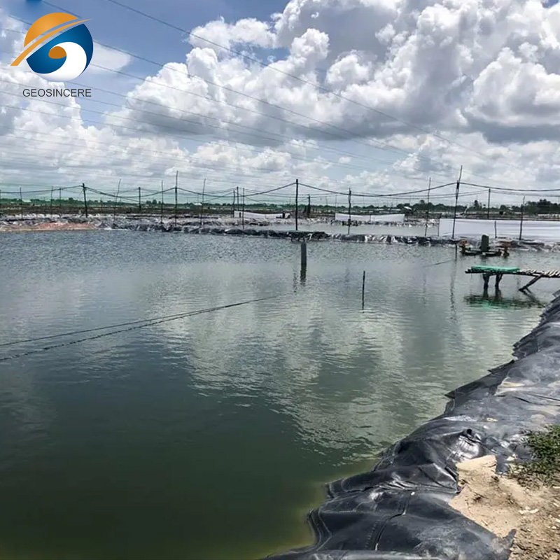 การเพาะเลี้ยงสัตว์น้ำ LDPE วัสดุซับบ่อปลา Geomembrane