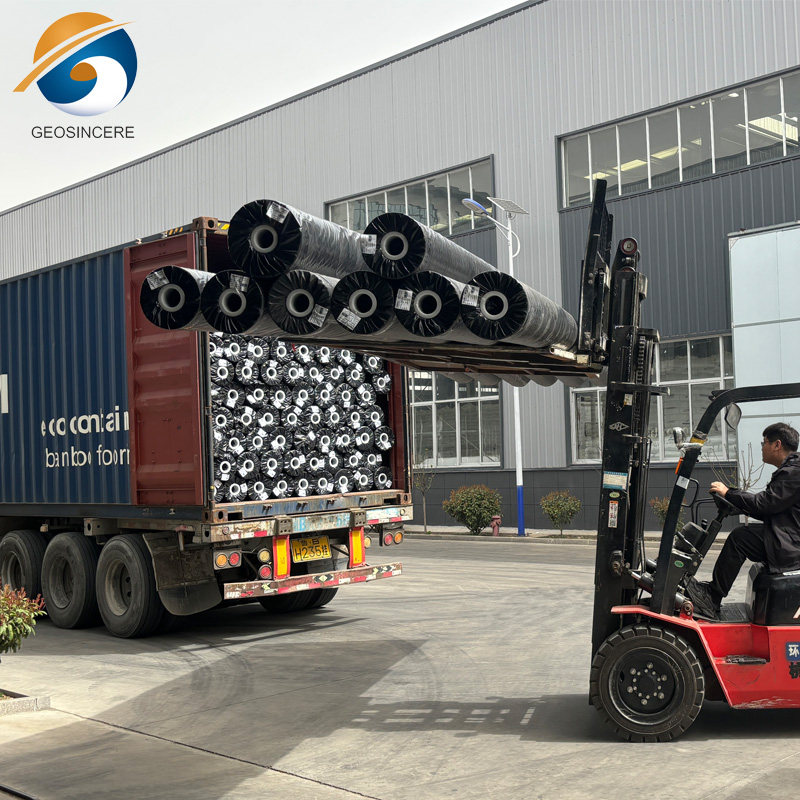 เมมเบรนทางภูมิศาสตร์