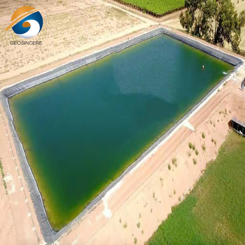 Geomembran-Auskleidung aus hochdichtem Polyethylen für die Landwirtschaft