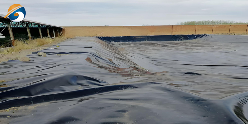 40 мил HDPE качественный пруд Геомембрана Геомембрана 40 мил HDPE качественный пруд Геомембрана Геомембрана
