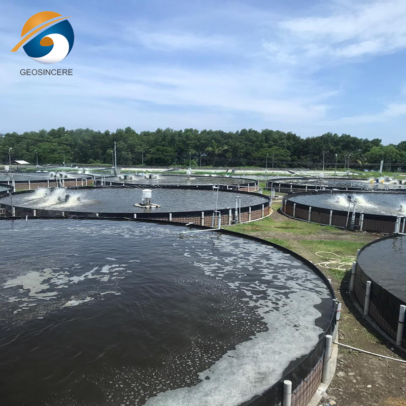 Revestimento de charcas de 0,75 mm de geomembrana de PEAD para aquacultura