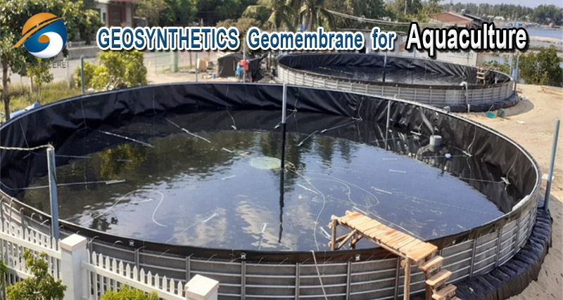 Лист геомембраны HDPE для аквакультуры на заказ Лист геомембраны HDPE для аквакультуры на заказ