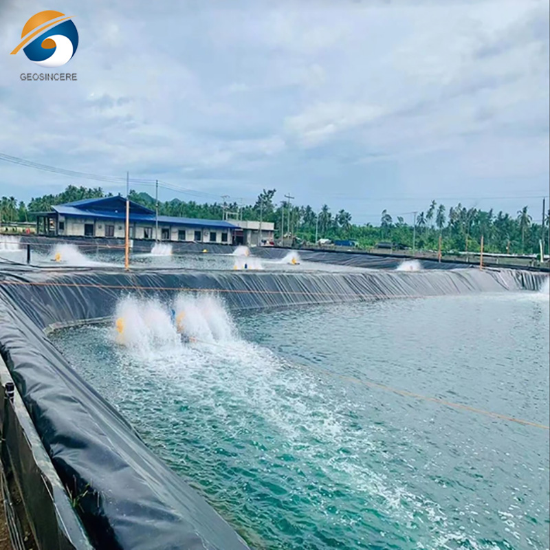 ราคาโรงงานบ่อเลี้ยงปลา กุ้ง สัตว์น้ำ Geomembrane